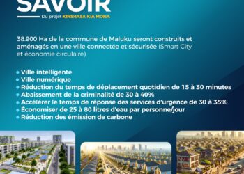 Ce qu’il faut savoir: du projet Kinshasa Kia Mona