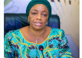 Le Gouvernement Judith Suminwa a attribué 5% de son budget quinquennal au secteur de l’Environnement et du développement durable