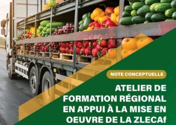 Région Afrique-Ghana : Une Afrique se lève pour libérer son potentiel avec l’atelier de formation Régional en soutien à la mise en œuvre de la ZLECAF