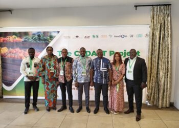 Région Afrique-Ghana : Préparation intégrale sur le plan économique-régional du projet d’extension de la ville de Kinshasa