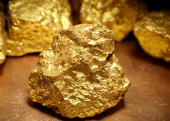 Projet aurifère de Zani-Kodo : des tensions émergent entre la Sokimo et l’opérateur turc Milvest